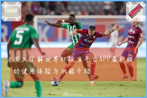深入了解世界杯投注平台APP最新版的使用体验与功能介绍