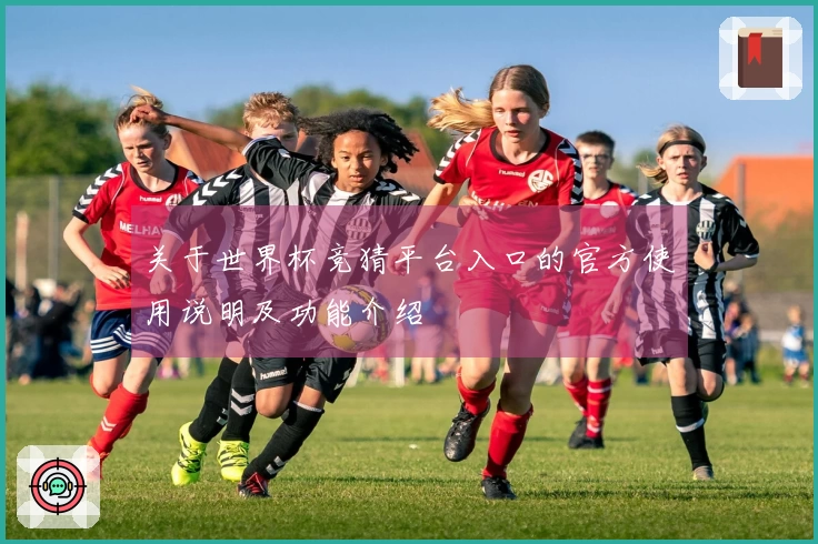 关于世界杯竞猜平台入口的官方使用说明及功能介绍