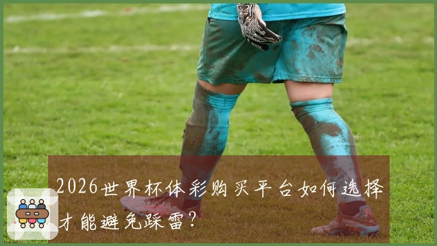 2026世界杯体彩购买平台如何选择才能避免踩雷？