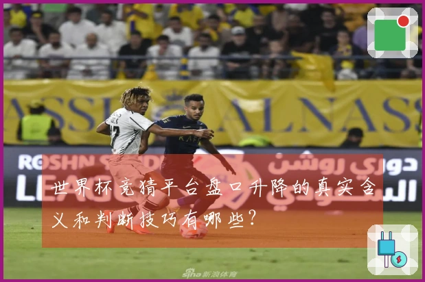 世界杯竞猜平台盘口升降的真实含义和判断技巧有哪些？