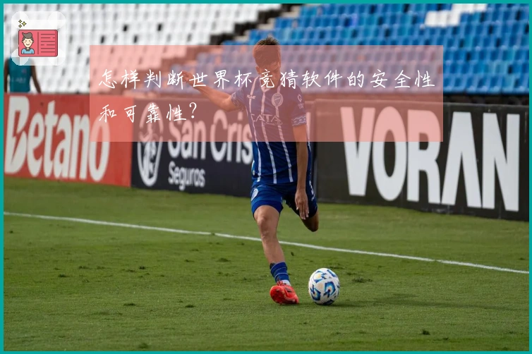 怎样判断世界杯竞猜软件的安全性和可靠性？
