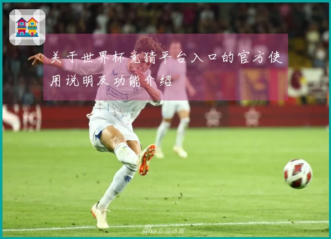 关于世界杯竞猜平台入口的官方使用说明及功能介绍
