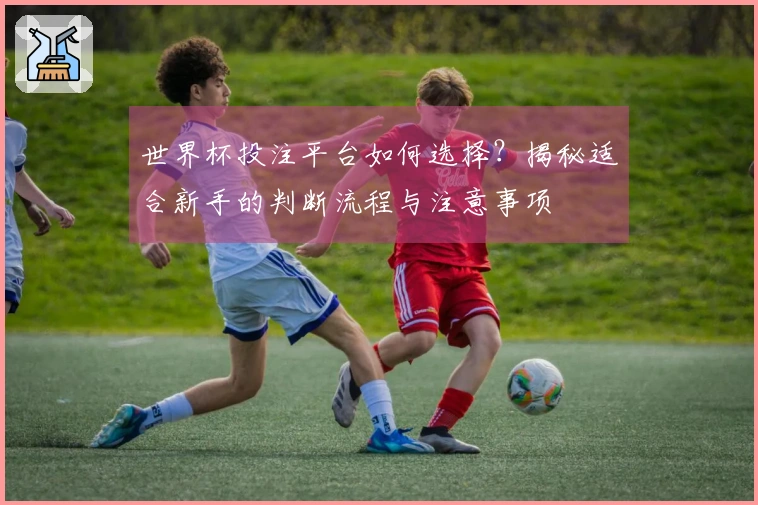 世界杯投注平台如何选择？揭秘适合新手的判断流程与注意事项