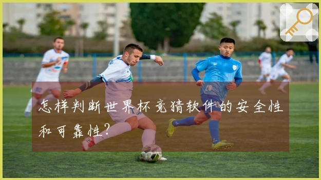 怎样判断世界杯竞猜软件的安全性和可靠性？
