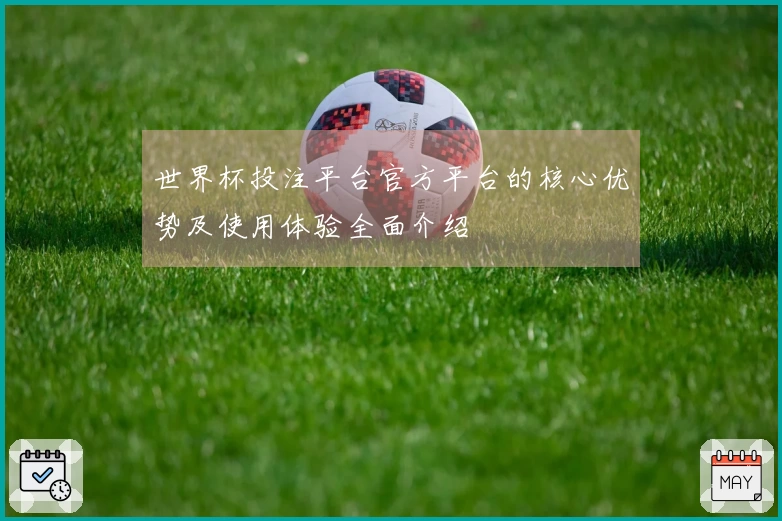 世界杯投注平台官方平台的核心优势及使用体验全面介绍