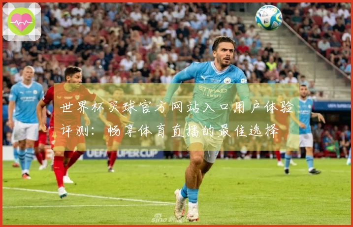 世界杯买球官方网站入口用户体验评测：畅享体育直播的最佳选择