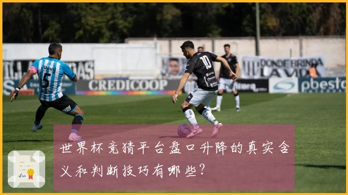 世界杯竞猜平台盘口升降的真实含义和判断技巧有哪些？