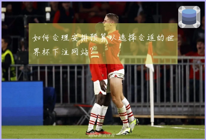 如何合理安排预算以选择合适的世界杯下注网站？