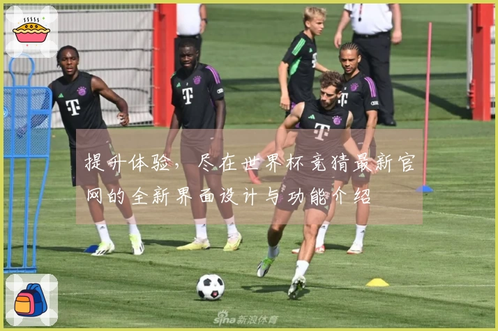 提升体验，尽在世界杯竞猜最新官网的全新界面设计与功能介绍