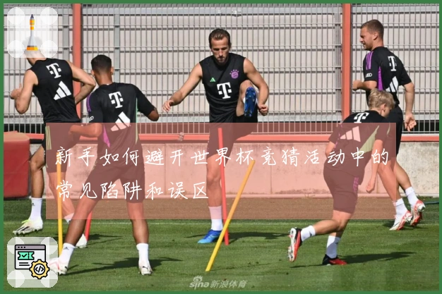 新手如何避开世界杯竞猜活动中的常见陷阱和误区