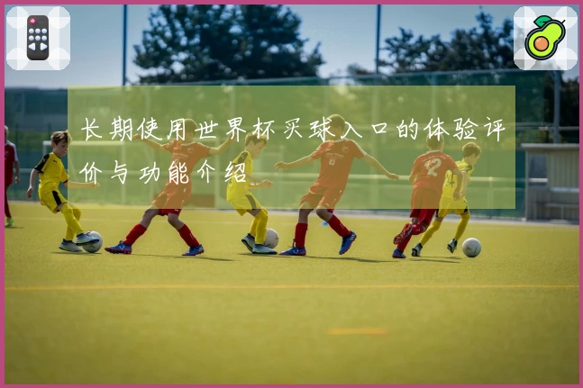 长期使用世界杯买球入口的体验评价与功能介绍