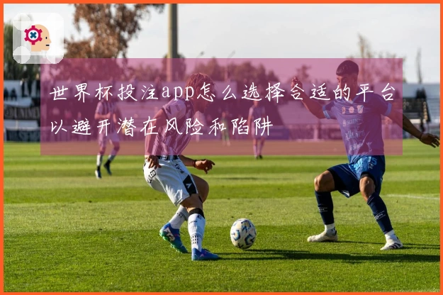 世界杯投注app怎么选择合适的平台以避开潜在风险和陷阱