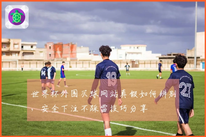 世界杯外围买球网站真假如何辨别，安全下注不踩雷技巧分享
