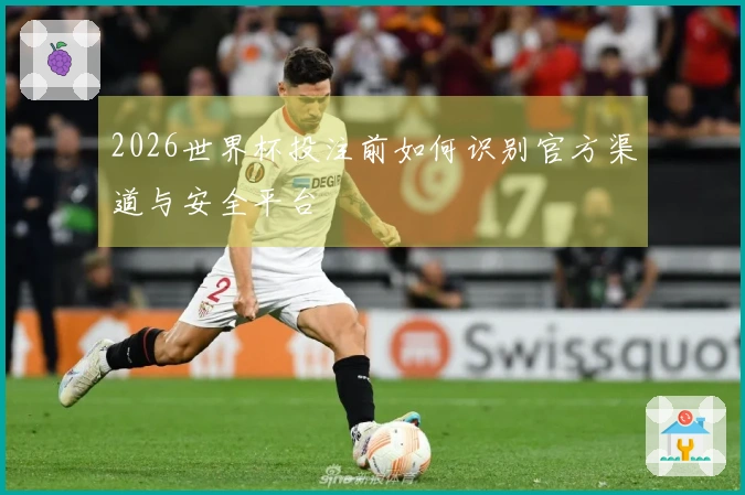 2026世界杯投注前如何识别官方渠道与安全平台