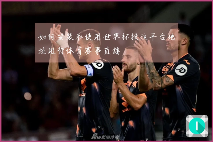 如何安装和使用世界杯投注平台地址进行体育赛事直播