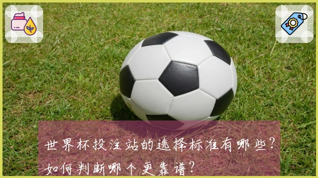 世界杯投注站的选择标准有哪些？如何判断哪个更靠谱？