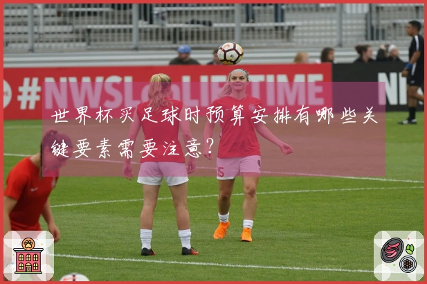 世界杯买足球时预算安排有哪些关键要素需要注意？