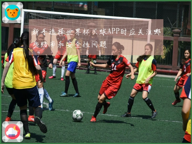 新手选择世界杯买球APP时应关注哪些赔率和安全性问题
