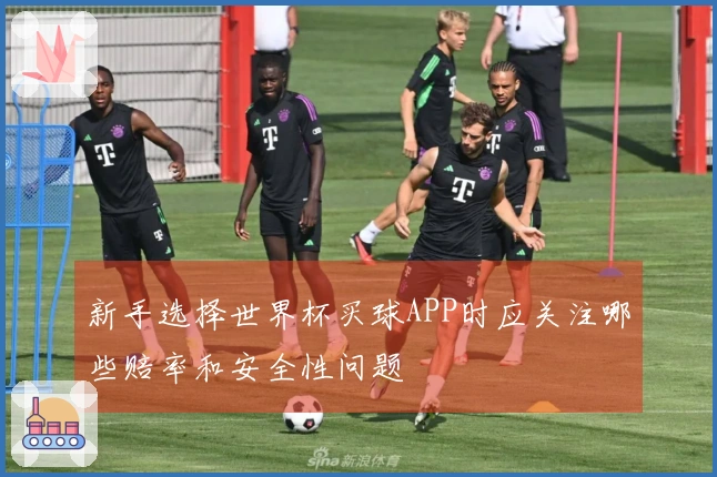 新手选择世界杯买球APP时应关注哪些赔率和安全性问题