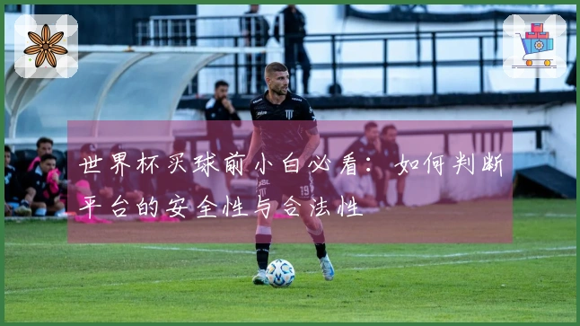 世界杯买球前小白必看：如何判断平台的安全性与合法性