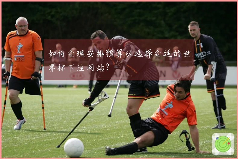 如何合理安排预算以选择合适的世界杯下注网站？