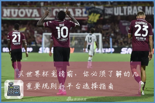 买世界杯竞猜前，你必须了解的几个重要规则和平台选择指南